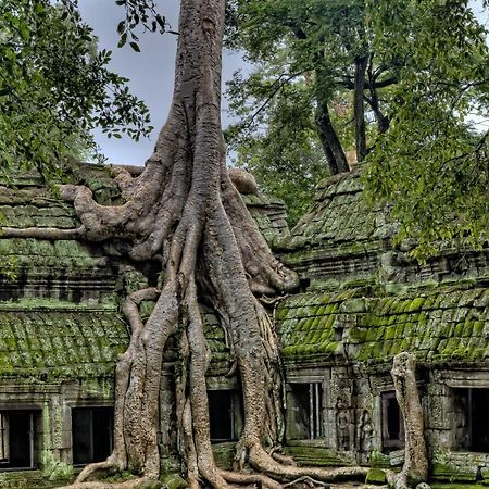 فندق جولدن تيمبل ريزيدانس سيام ريب المظهر الخارجي الصورة Banteay Srei