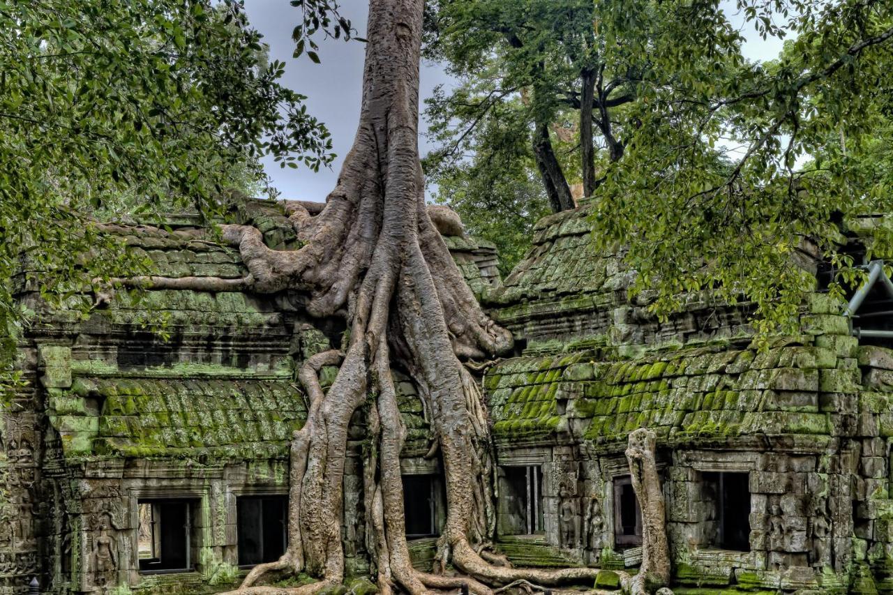 فندق جولدن تيمبل ريزيدانس سيام ريب المظهر الخارجي الصورة Banteay Srei